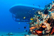 The Atlantis submarine cruising by a reef off the coast of Maui, Hawaii.