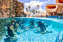 Scuba diving instructor Anthony Manion practices skills with four students in a hotel pool on Maui, Hawaii. Model released.