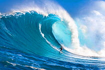 Surfer dropping down the face of Hawaii&#39;s big surf at Peahi (Jaws) off Northshore Maui, Hawaii.