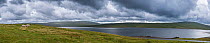 Cow Green Reservoir, flooded parts of the rich upland limestone turf of Widdybank Fell, Upper Teesdale, England, UK. July.