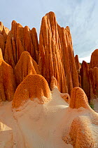 The Red Tsingy of the Irodo. Unlike the other Tsingy, the red formations are not made of rocks but  of a mix of soil: sand, clay, and laterite, which creates this fascinating red colour. Madagascar.