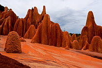The Red Tsingy of the Irodo. Unlike the other Tsingy, the red formations are not made of rocks but  of a mix of soil: sand, clay, and laterite, which creates this fascinating red colour. Madagascar.