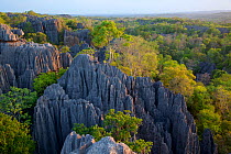 Mountain landscape at Tsingy Bemaraha National Park, Madagascar.