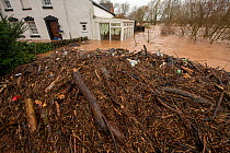 Flood debris caught under River Teme Bridge, Tenbury Wells, Storm Dennis, Worcestershire, 16 February 2020.