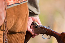 Hunter with shot gun whilst hunting small game, , Bas-Rhin, France, November.
