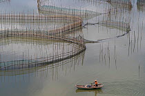 Fish farm with bamboo enclosures, Xiapu County, Fujiang Province, China