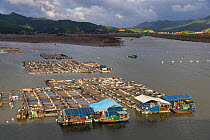 Fish farm, Xiapu County, Fujiang Province, China.