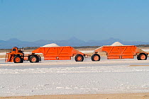 Vehicle transporting salt at Ojo de Liebre Lagoon saltworks, the biggest saltworks plant in the world. Guerrero Negro, Baja California Sur, Mexico. 2017.