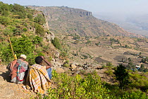 Two Ethiopians looking down into valley at Gelada baboon (Theropithecus gelada) group of females with young and a male. Near cliff where Baboons spend the night. Debre Libanos, Rift Valley, Ethiopia....