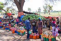 Market stalls at side of road with tomatoes, onions and watermelons for sale. Debre Libanos market, Rift Valley, Ethiopia. 2017.