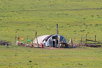 Yurt within Bashang Grassland. Near Zhangjiakou, Hebei Province, Inner Mongolia, China. July 2018.