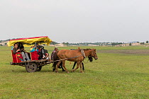 Group of tourists in horse drawn cart. Bashang Grassland, near Zhangjiakou, Hebei Province, Inner Mongolia, China. July 2018.