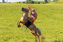 Mongol in traditional dress riding horse, demonstrating pitching. Bashang Grassland, near Zhangjiakou, Hebei Province, Inner Mongolia, China. 2018.