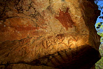 Figure of a red echidna and petroglyphs of Emu tracks at the Death Adder art site at Jowalbinna Bush Camp. Cape York Peninsula, Queensland, Australia.