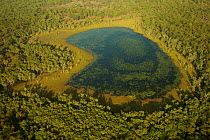 Aerial view of Billabong in Piccaninny Plains Sanctuary Cape York Peninsula,Queensland, Australia
