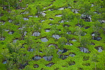 Aerial view of potholes in an open Eucalypytus woodland. Piccaninny Plains Wildlife Sanctuary, Cape York Peninsula, Queensland, Australia. March 2013