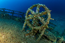 Rudder of Teti wreck, built in 1883 as a steamship and later turned into a merchant cargo ship. Sunk on a stormy night on May 23rd/1930, it lies at max 34m close to Komiza, Vis Island, Croatia, Adriat...