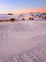 Striated texture in white gypsum sand dunes, created by wind and moisture laden dunes. White Sands National Monument, New Mexico. USA. December.