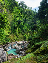 White River just below Victoria Falls, Dominica, Eastern Caribbean. The water is milky whittish-blue as it comes from volcanic springs of Boiling Lake. February 2019. Stitched panorama.