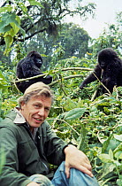 David Attenborough with mountain gorillas, on location during filming for BBC 'Life on Earth' series, 1978.
