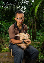 Sunda pangolin (Manis javanica) held by zookeeper Ade Kurniawan at Night Safari, Singapore. Captive, model released.
