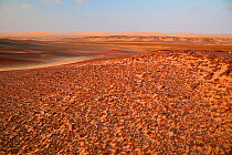 Gravel and sand desert near Terrace Bay, Skeleton Coast Park, Damaraland, Namibia, September