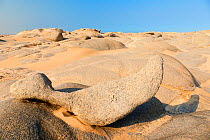 Rocky desert near Torra Bay, Skeleton Coast Park, Damaraland, Namibia
