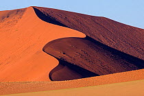 Undulating red dunes, Sossusvlei, Namibia