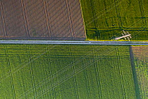 Aerial view of intensively farmed fields, a straight road and electricity pylons and lines, Switzerland