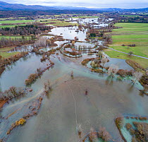 Flooded River Pivka , with water covering alpine pastures near Postojna, Slovenia, November 18 2019.