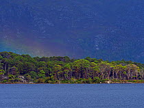 RF - Rainbow over Loch Lomond, southern Scotland, UK, September. (This image may be licensed either as rights managed or royalty free.)