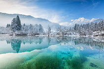 Sava Spring in winter with reflections in lake, Julian Alps, Kranska Gora, Slovenia, January 2014.
