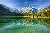 Mangrt mountain reflected in lake at Lago di Fusine, Julian Alps, Italy, July 2007.