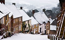 Cottages on Gold Hill in winter snow, Shaftesbury, Dorset, England, UK, February 2009.