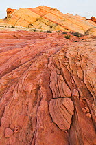 Sandstone layering, Valley of Fire State Park, Nevada, USA. February.
