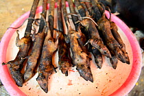 Roasted rats on skewers at the Tomohon food market, north of Sulawesi, Indonesia. The market sells wild animals for human consumption.
