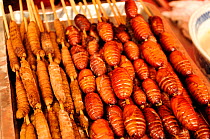 Caterpillars and butterfly pupae on skewers, ready to eat. Open-air food market in central Beijing, China.