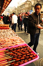 Open-air food market in central Beijing, China, with butterfly pupae on skewers in foreground.