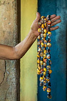 Illegal sale of jewelry made with Cuban tree snail (Polymita picta) shells near Yumury, Cuba
