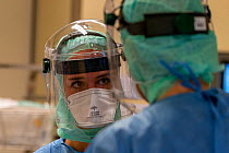 Anesthesia nurse in conversation with an anesthesiologist just before starting an intubation of a Covid-19 patient on the intubating room of the operation theatre Jeroen Bosch Ziekenhuis, Den Bosch,...