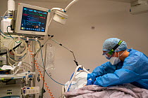 Trainee examining a patient on the Corona unit at the ICU department. The patient is sedated and on a ventilator Jeroen Bosch Ziekenhuis, Den Bosch, &#39;s Hertogenbosch, The Netherlands March 2020....
