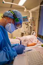 Doctor intraining to become a specialist is writing down the findings of a patient on a ventilator at the Corona ICU department Jeroen Bosch Ziekenhuis, Den Bosch, &#39;s Hertogenbosch, The Netherlan...
