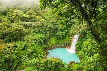 View of the Rio Celeste waterfall, tropical rainforest of Tenorio Volcano National Park, Costa Rica. The blue colour arises due to a physical phenomenon known as Mie scattering triggered by the presen...