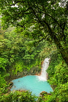 View of the Rio Celeste waterfall, tropical rainforest of Tenorio Volcano National Park, Costa Rica. The blue color arises due to a physical phenomenon known as Mie scattering triggered by the presenc...