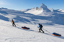 Orsolya Haarberg and Erlend Haarberg pulling sledges in the Jotunheimen mountains, with the Mt Store Smorstabbtinden in the background. Norway. April 2020.