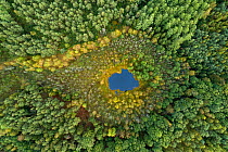 Aerial view of dystrophic forest lake surrounded by peatbog. East Pomerania, Baltic region of Poland. Brodnica forest. September 2019. Highly commended in the Landscapes, Waterscapes and Flora Categor...