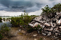 Cement waste left in a mangrove creek after construction of a road through the creek, The Bahamas. September 2015.