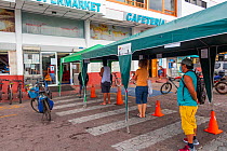 Queuing at the supermarket, normally crowded with tourists and locals, during Covid-19 lockdown. Puerto Ayora, Santa Cruz Island, Galapagos Islands April 2020