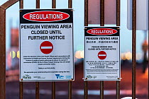 Signs explaining that the St Kilda Penguin colony is closed for viewing until further notice due to the Coronavirus (COVID-19) pandemic. St Kilda pier, St Kilda, Victoria, Australia. April 2020