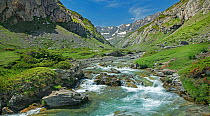 Gave d Estaube river in the Cirque d&#39;Estaube, Pyrenees National Park, France, June.